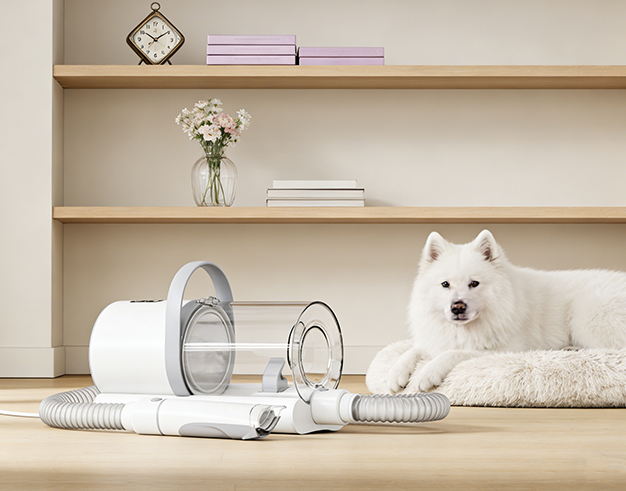 Cura degli animali domestici